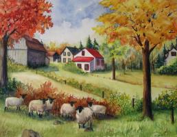 Les moutons de M. - VENDU